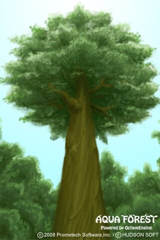 AQUA FOREST #2